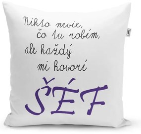 Sablio Vankúš Nikto nevie, čo tu robím, ale každý mi hovorí šéf: 40x40 cm