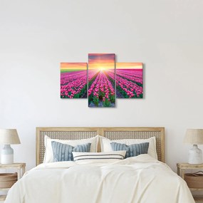 Obraz poľa tulipánov so slnkom (90x60 cm)