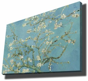 70100VANGOGH050