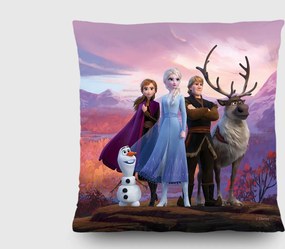 Detský vankúšik FROZEN 2 40x40 cm