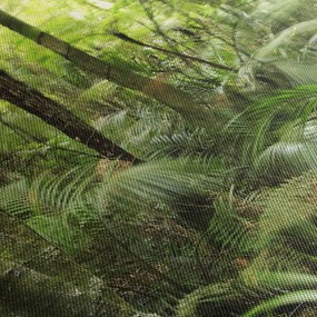 Obraz Tropický dažďový prales (120x50 cm)