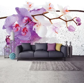 Fototapeta - Orchidey (152,5x104 cm)