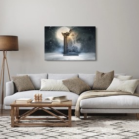 Obraz - Magické zrkadlo (90x60 cm)