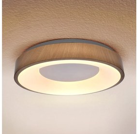Brilagi - LED Stropné svietidlo DORIA LED/24W/230V