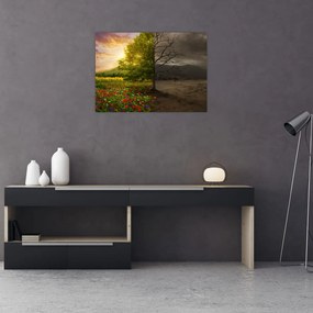 Obraz - Kolobeh života (70x50 cm)