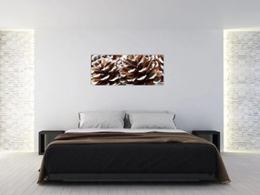 Obraz - Šišky (120x50 cm)
