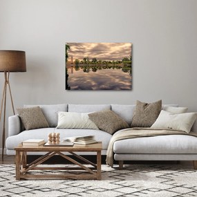 Obraz jazera a stromov (70x50 cm)