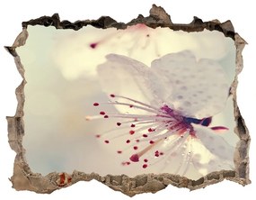 Samolepící nálepka na zeď Čerešňový kvet nd-k-102906126