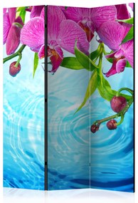 Artgeist Paraván - Orchids over Water [Room Dividers]