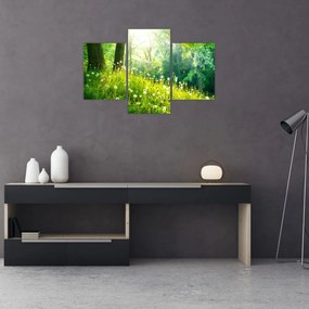 Obraz - Magická lúka plná púpav (90x60 cm)