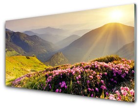 Skleneny obraz Hora lúka krajina 120x60 cm