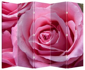 Paraván - Ruže (210x170 cm)