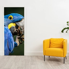Fototapeta na dvere - Papagáj (95x205cm)