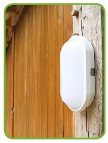ACA Lighting LED prisadené svietidlo DORA 10W/230V/6000K/950Lm/110°/IP65/IK08, oválne biele