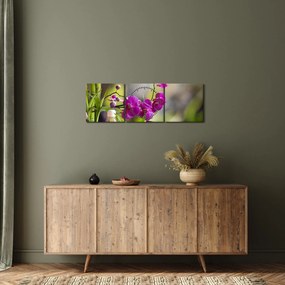 Obraz - spa and stones (s hodinami) (90x30 cm)