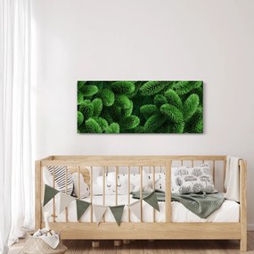 Obraz - Vetvičky ihličnanu (120x50 cm)
