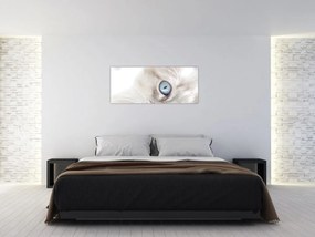 Obraz - Mačka s modrými očami (120x50 cm)