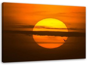 Obraz na plátně Západ slunce - 100x70 cm