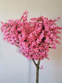 Kvitnúci strom- sakura 160cm