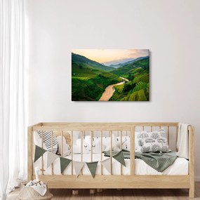 Obraz - Ryžové terasy II. (90x60 cm)