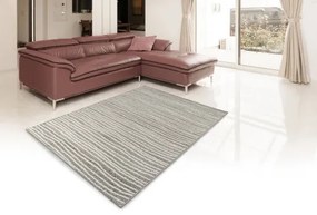 Koberce Breno Kusový koberec LOTTO 562/FM6E, sivá,100 x 150 cm