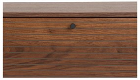 Hnedý TV stolík v dekore orecha 120x50x40 cm Stripes – White Label