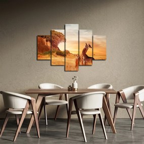 Obraz - Žirafy v Afrike (150x105 cm)
