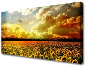 Obraz Canvas Pole slnečníc krajina 120x60 cm