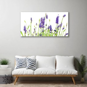 Obraz na plátne Kvety 140x70 cm