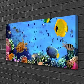 Obraz na plátne Koralový útes ryba príroda 100x50 cm