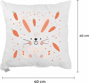 Dekoratívny vankúš Carrots 40x40 cm EMI