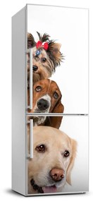 Foto nálepka na chladničku stenu Psy a mačky FridgeStick-70x190-f-104206550
