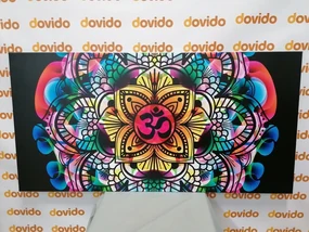 Obraz Mandala zdravia - 120x60