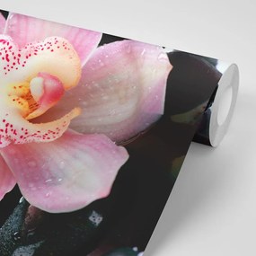 Samolepiaca fototapeta detail tropickej orchidey