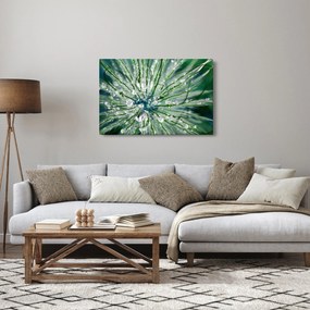 Obraz - Makro snímka kvetu (90x60 cm)