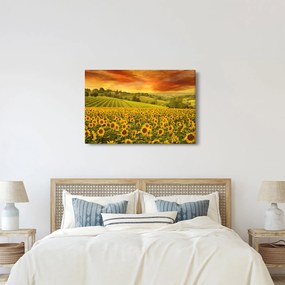 Obraz - Slnečnicové pole (90x60 cm)