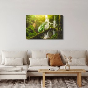 Obraz chameleóna (90x60 cm)