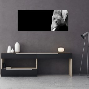 Obraz - Slon (120x50 cm)