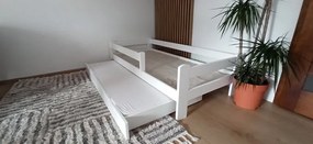 Raj posteli Detská posteľ SMART DMJ 180 s prístelkou 180x80 cm