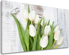 Obraz na stenu KVETY KV036E11 - 60x90 cm