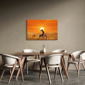 Obraz - Žirafy v národnom parku Serengeti (90x60 cm)