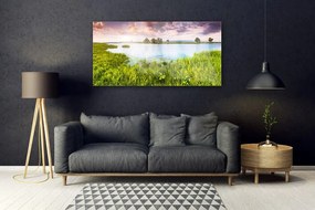 Obraz plexi Tráva jazero príroda 120x60 cm
