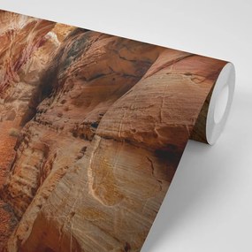 Samolepiaca fototapeta cestička Grand Canyonom