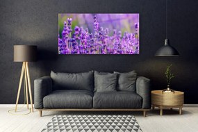 Obraz plexi Pole fialová levanduľa 120x60 cm