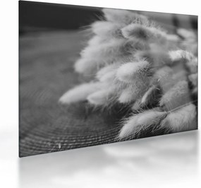Sklenený obraz - bunny tail grass na stole (70x50 cm)