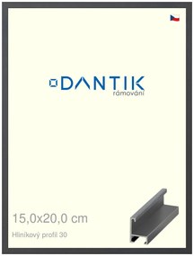 DANTIK rám na obraz 15x20 | ALU Dýha barevná šedá tmavá (Sklo Čiré)