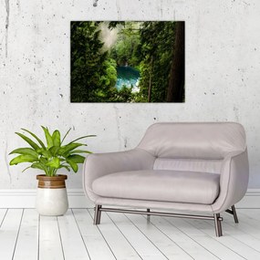 Sklenený obraz - Priezor medzi stromami (70x50 cm)