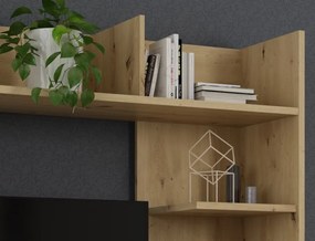 TV stena Douglas, dub artisan