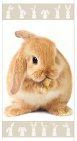 DETSKÝ BAVLNENÝ UTERÁK BUNNY 70X140 CM VZOROVANÁ