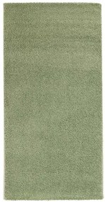 Koberce Breno Kusový koberec DOLCE VITA 01/AAA, zelená,160 x 230 cm